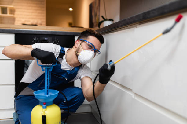 Best Pest Prevention Services  in Meadowdale, WA