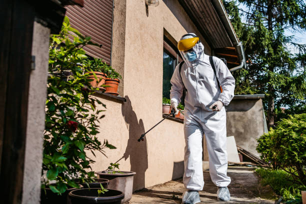 Best Pest Control Near Me  in Meadowdale, WA