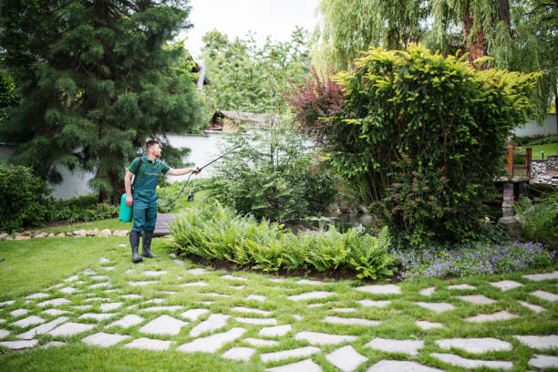 Best Bird Control  in Meadowdale, WA
