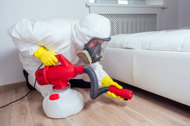 Best Rat Extermination Near Me  in Meadowdale, WA