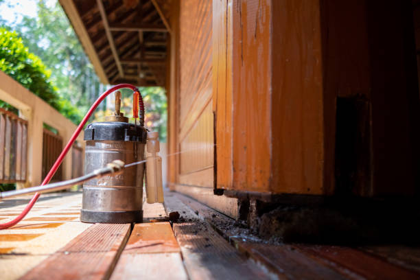 Best Wasp Removal Services  in Meadowdale, WA