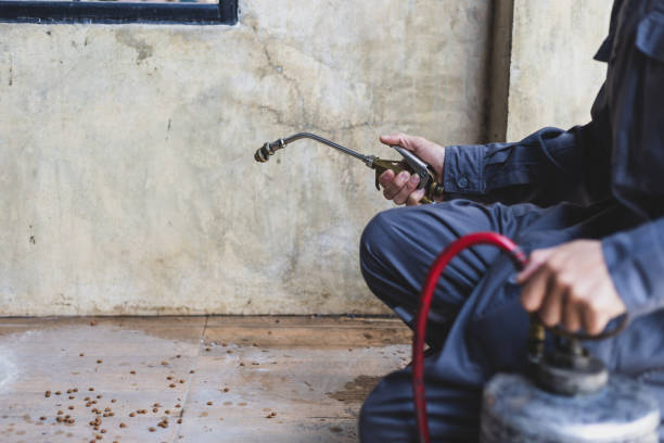 Best Exterminator Services  in Meadowdale, WA